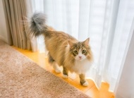 イデキョウホーム株式会社