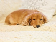 イデキョウホーム株式会社